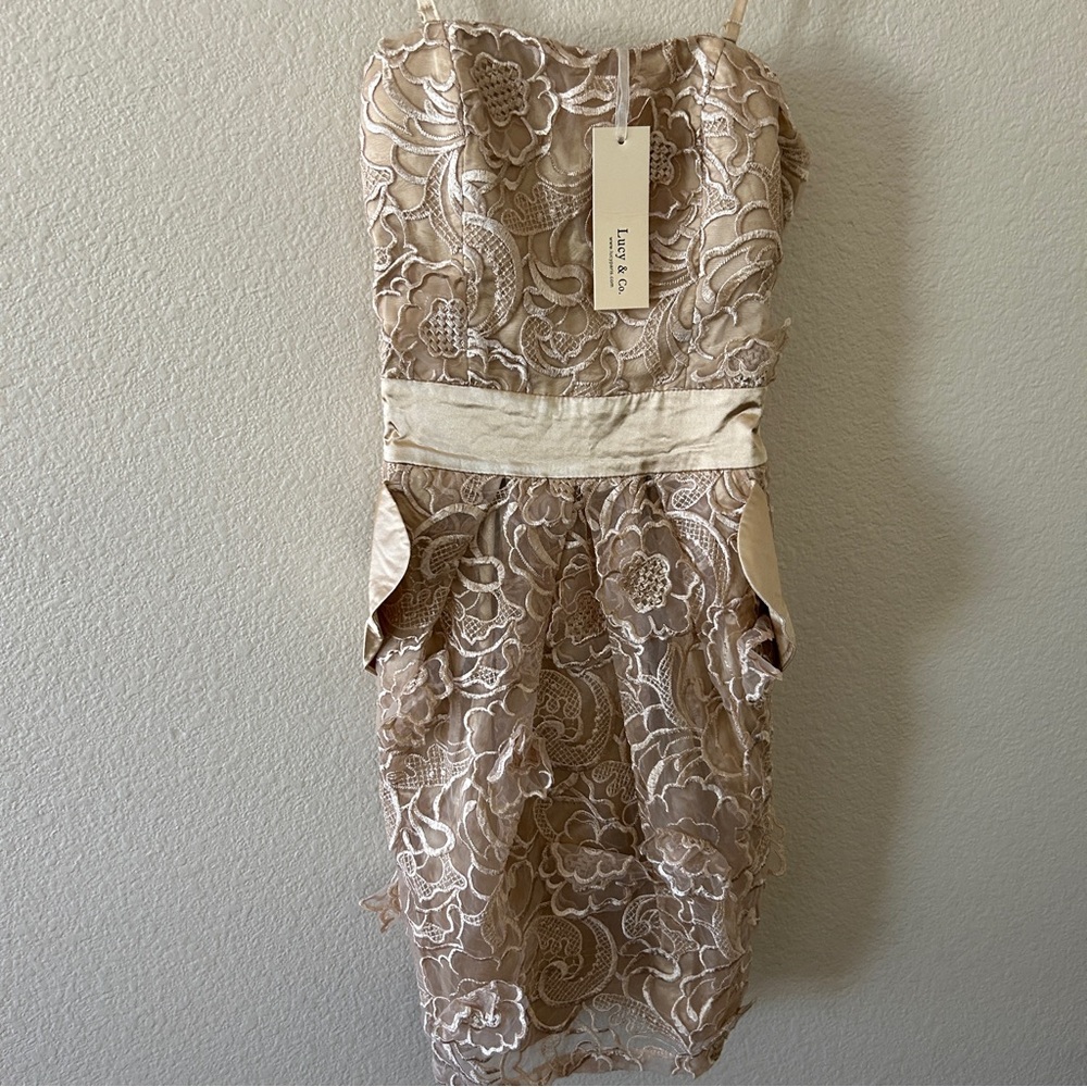 Lucy Paris Bronze Embroidered Dress